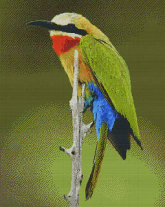 Bird On Branch Thirty Six [36] Baseplate PixelHobby Mini-mosaic Art Kit